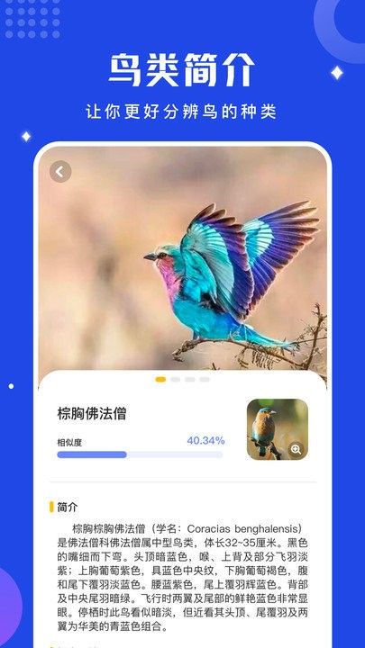鸟语语言翻译器手机版(改名鸟语翻译器) v1.12 安卓版 2
