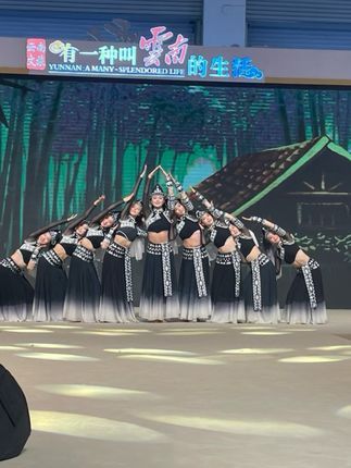 文山文旅:第8届中国—南亚博览会我们来啦!#有一种叫云南的生活 #好在文山 #南博会