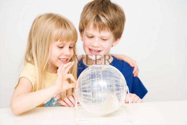 孩子男孩和女孩玩仓鼠宠物在球照片摄影图片