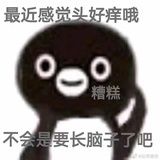 辣卤鸡翅