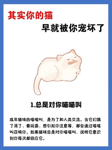 猫咪宠坏的的几种表现来看看你家的有没有中招？