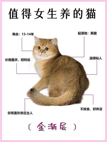 喵咪身体构造大揭秘