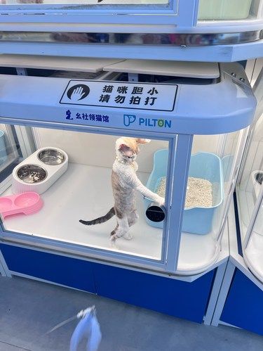 这个德文太搞笑了
