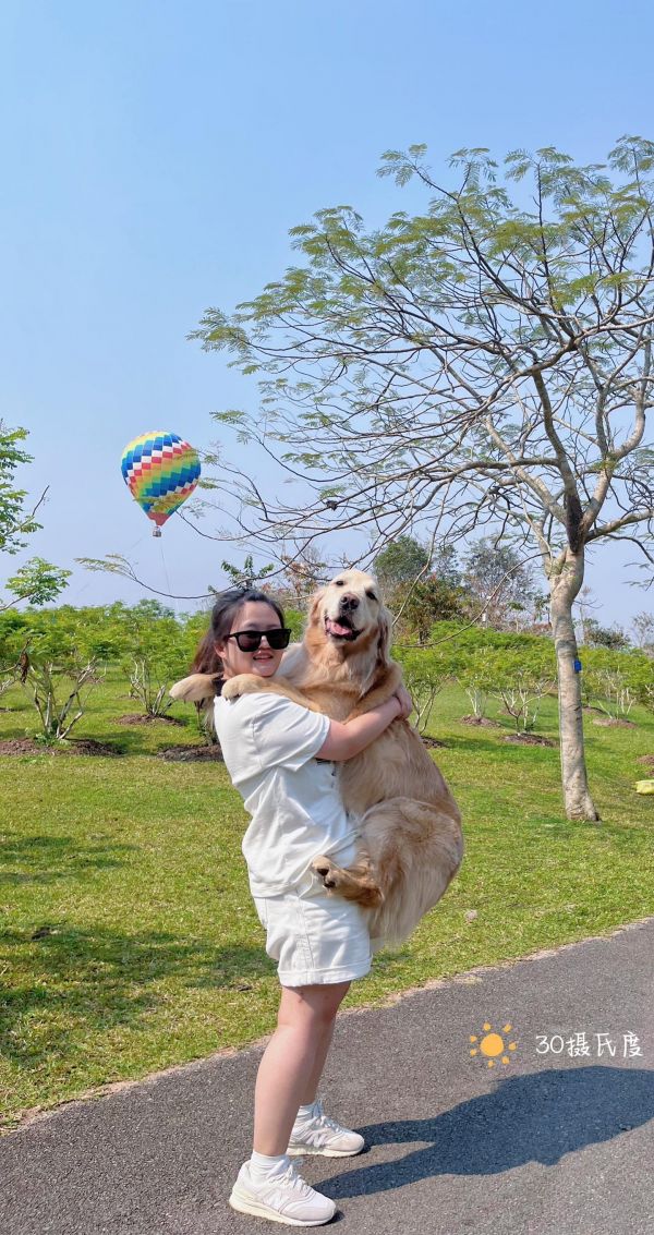 修狗狗和修猫咪的旅行日记—西双版纳篇。总得带修狗狗来一趟版纳吧，很多地方都对宠物很友好哦，狗狗和猫猫都爱死了#携宠出游 #西双版纳 #爱出去玩的狗狗 #橘猫 #金毛