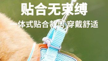 宠物牵引绳该如何选择