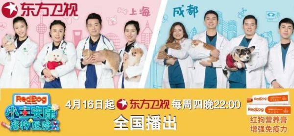 纪录片《宠物医院2》再获东方卫视提名