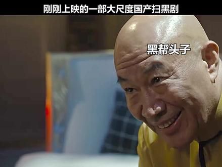 刚刚上映的一部大尺度国产扫黑剧，我强烈推荐 #因为一个片段看了整部剧
