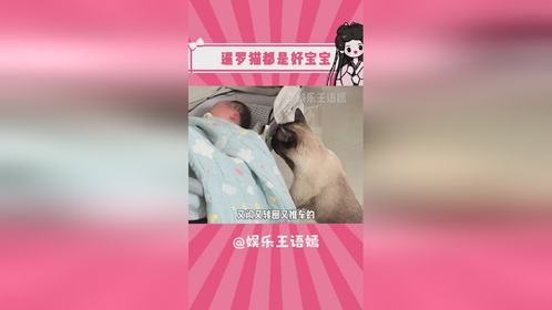 此刻想养一只菲佣的情绪达到了顶峰 