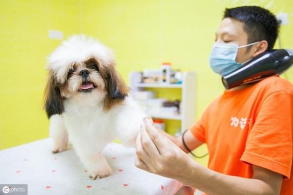 市民最反感的三大不文明养犬行为，各个严重影响邻里，让人讨厌