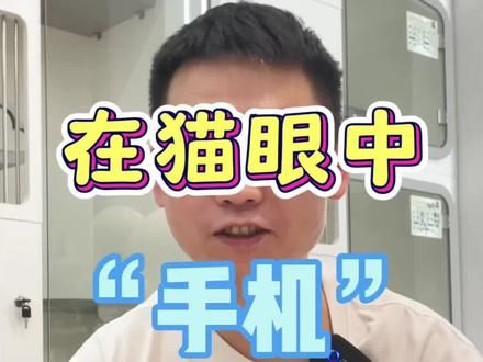 在猫眼中,你玩手机的样子是多恐怖的#猫咪 #萌宠出道计划 #科学养宠攻略 #养猫人 #萌宠猫咪