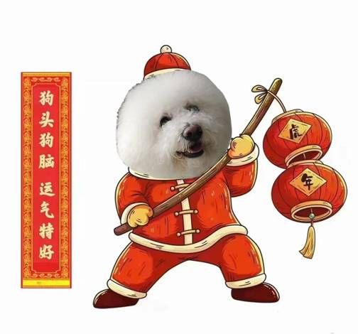 宠物也可以吃年夜饭，8个宠物年夜饭菜谱分享！