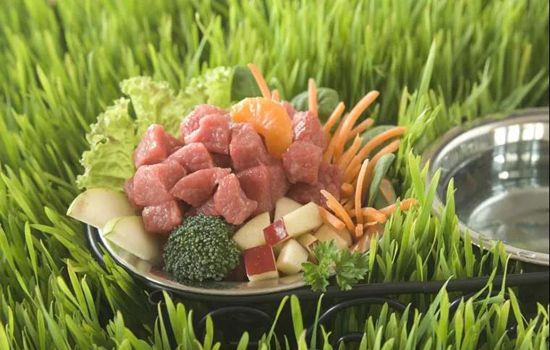 狗狗自制狗粮食谱 全天然食物喂养一周食谱