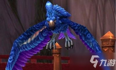 《魔兽世界》宠物花羽鹦鹉获取攻略