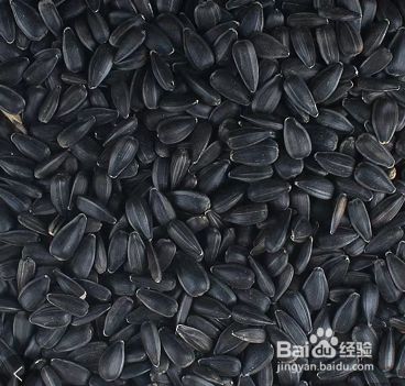 牡丹鹦鹉的主要食物有哪些？
