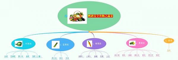 鹦鹉可以吃什么蔬菜和水果，全网最全图解赶紧收藏