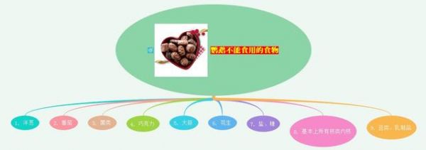 鹦鹉可以吃什么蔬菜和水果，全网最全图解赶紧收藏