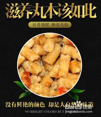 鹦鹉吃什么好？