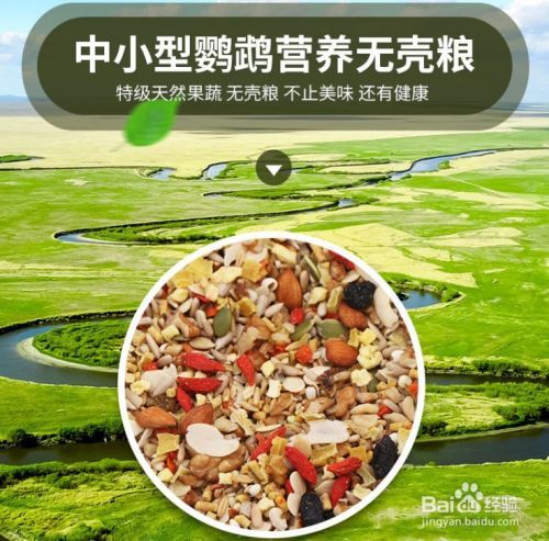 鹦鹉吃什么好？