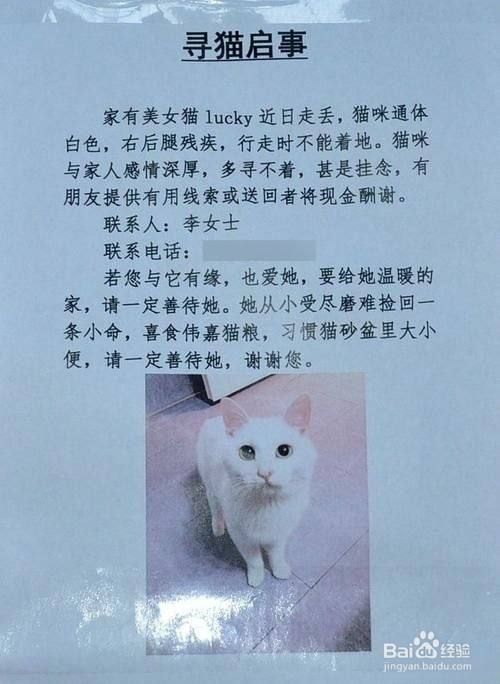 寻猫启事怎么写才温暖