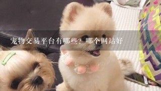 宠物交易平台有哪些？哪个网站好