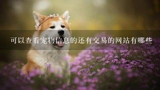 可以查看宠物信息的还有交易的网站有哪些