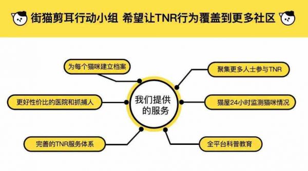 把流浪猫捧上直播间C位，街猫给宠物行业带来了哪些启示？