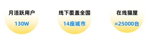 把流浪猫捧上直播间C位，街猫给宠物行业带来了哪些启示？