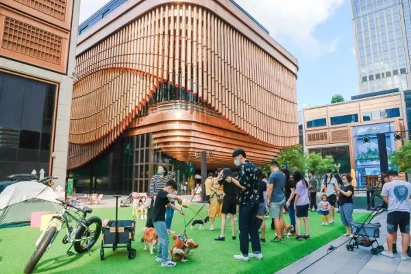 宠物友好商场：“它经济”下，城市商业生态的多样化探索