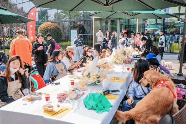 宠物友好商场：“它经济”下，城市商业生态的多样化探索