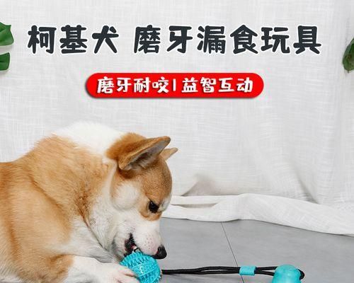 如何让你的宠物狗停止咬人（解决狗狗咬人问题的有效方法）