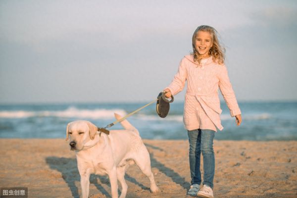 想让狗狗乖乖陪你散步？训犬师教你三个技巧，让被狗遛变成遛狗