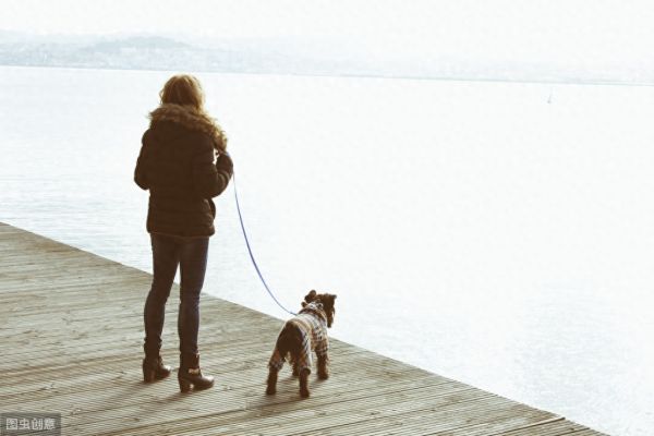 想让狗狗乖乖陪你散步？训犬师教你三个技巧，让被狗遛变成遛狗