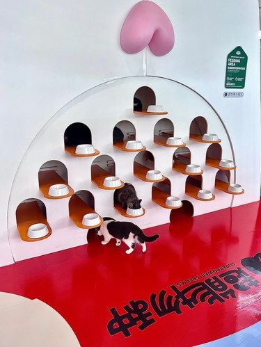 在深圳！！就应该把周末浪费在这个地方…
