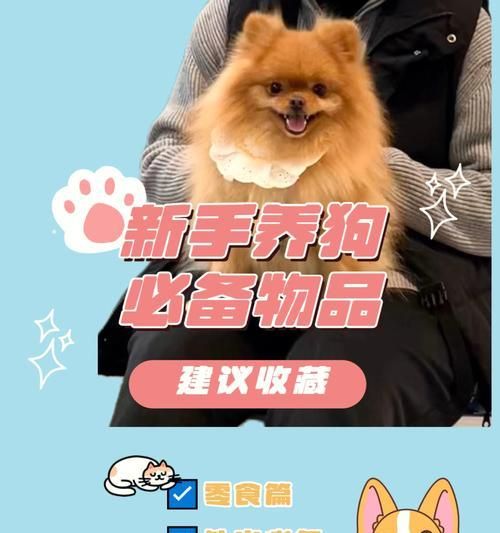 养狗前的准备工作（给你的宠物狗提供最好的生活）