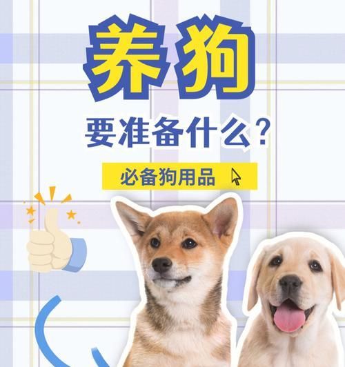 养狗前的准备工作（给你的宠物狗提供最好的生活）