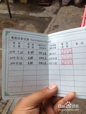 养狗前的准备，如何选狗，开始养狗的注意事项
