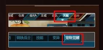 逆战宠物怎么觉醒