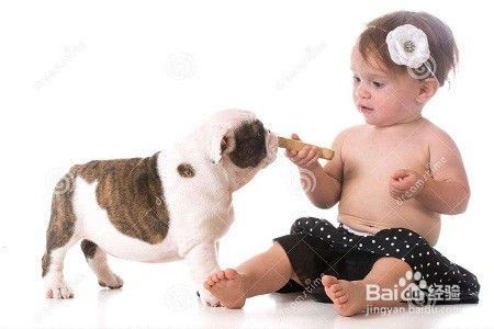如何教育幼童爱护小动物？