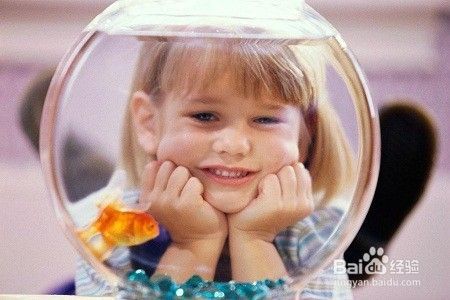 如何教育幼童爱护小动物？