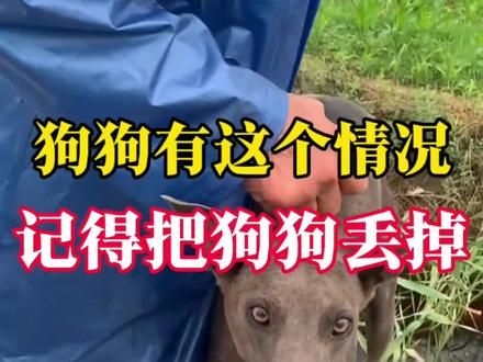 #科学养宠攻略 #狗狗 #每个生命都应该被尊重 #养狗经验分享 #科普一下
