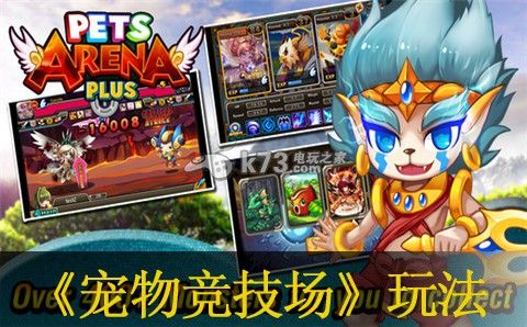 宠物竞技场玩法介绍