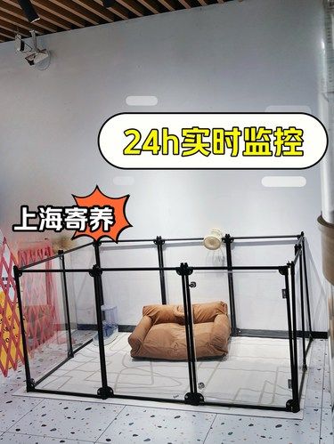 上海宠物寄养家庭寄养24h实时独立监控