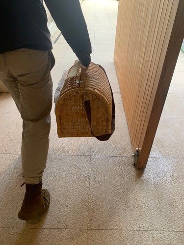 他带着漂亮的箱子来接你回家了