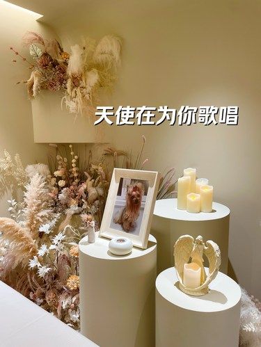 你独自踏上新的旅程，而我们永远都在，永远爱你