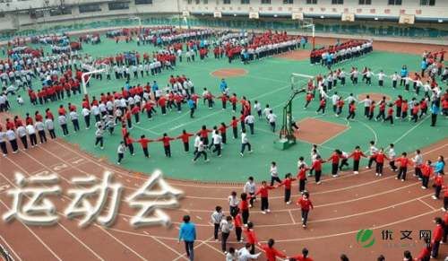 动物运动会作文15篇