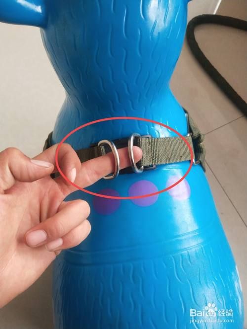 小狗绳的套法步骤图解