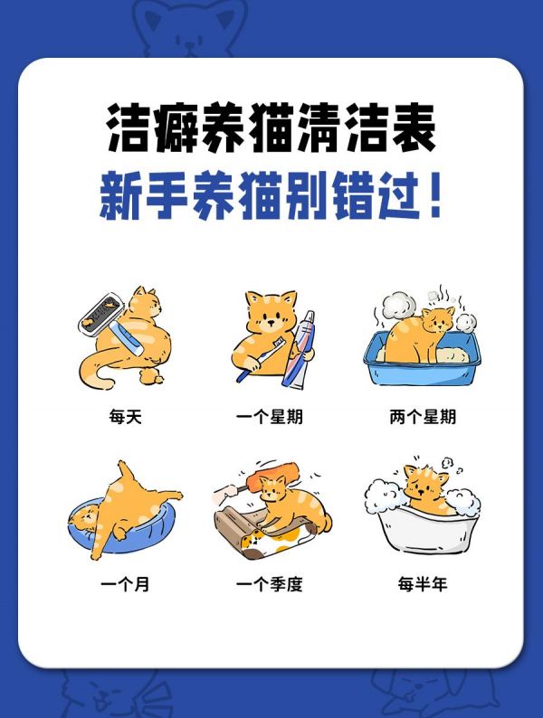 猫咪清洁护理周期表，新手养猫别错过！#猫咪 #猫咪清洁 #科学养宠攻略 #猫咪日常