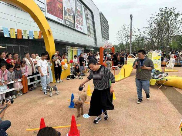 美团闪购，正和更多宠物门店玩到一起