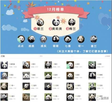 从电影到社交网络，萌宠是如何成为流量担当的？