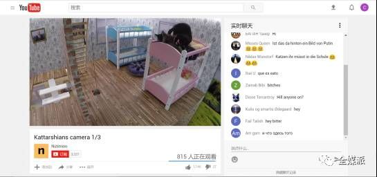 从电影到社交网络，萌宠是如何成为流量担当的？